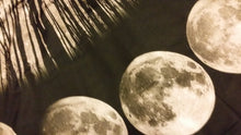 Load image into Gallery viewer, Moon Phase Skirt | Skirt | Nu Goth & Alternative Apparel | Build Your Empire Clothing Co.